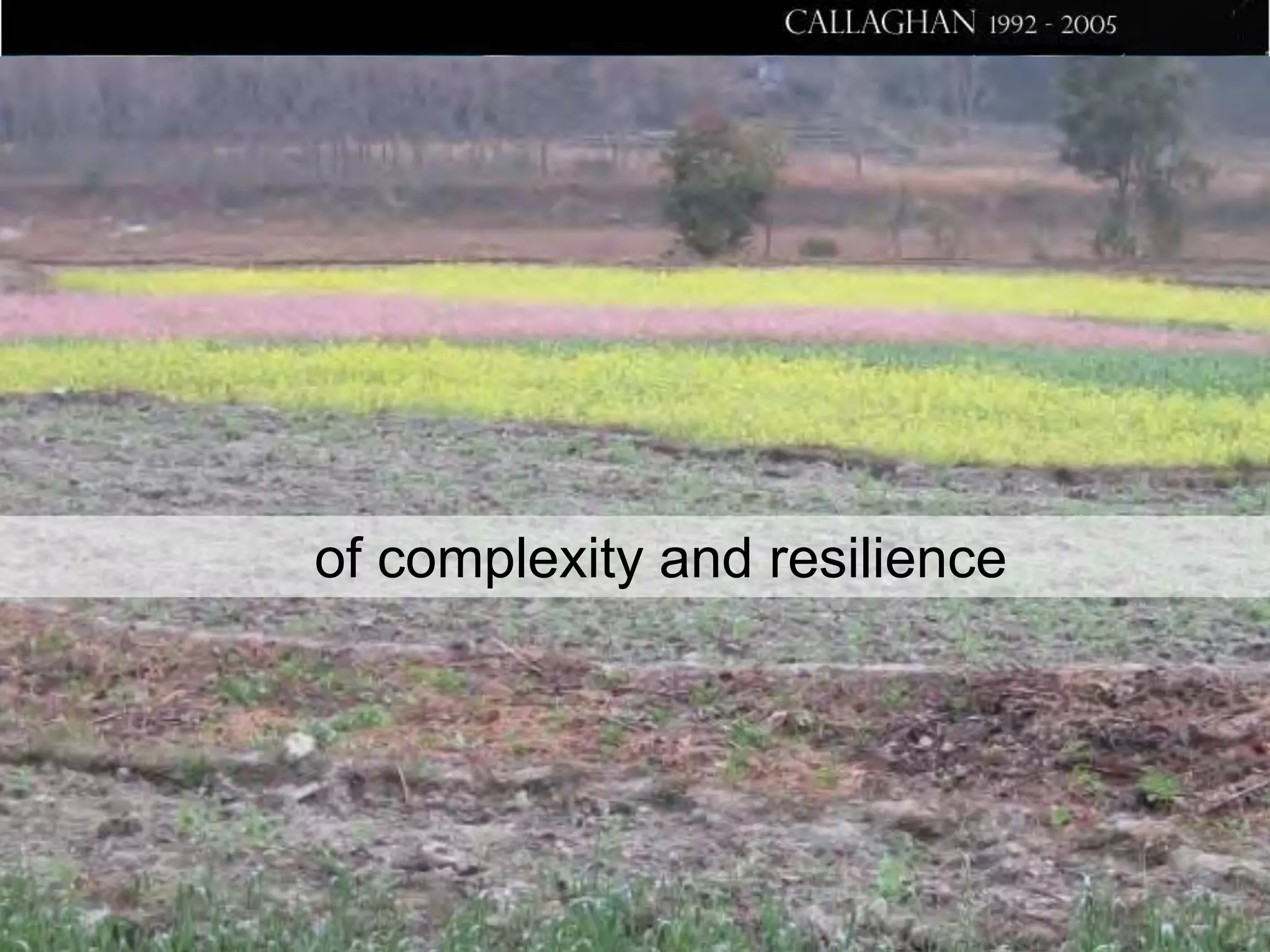 of complexity and resilience

 