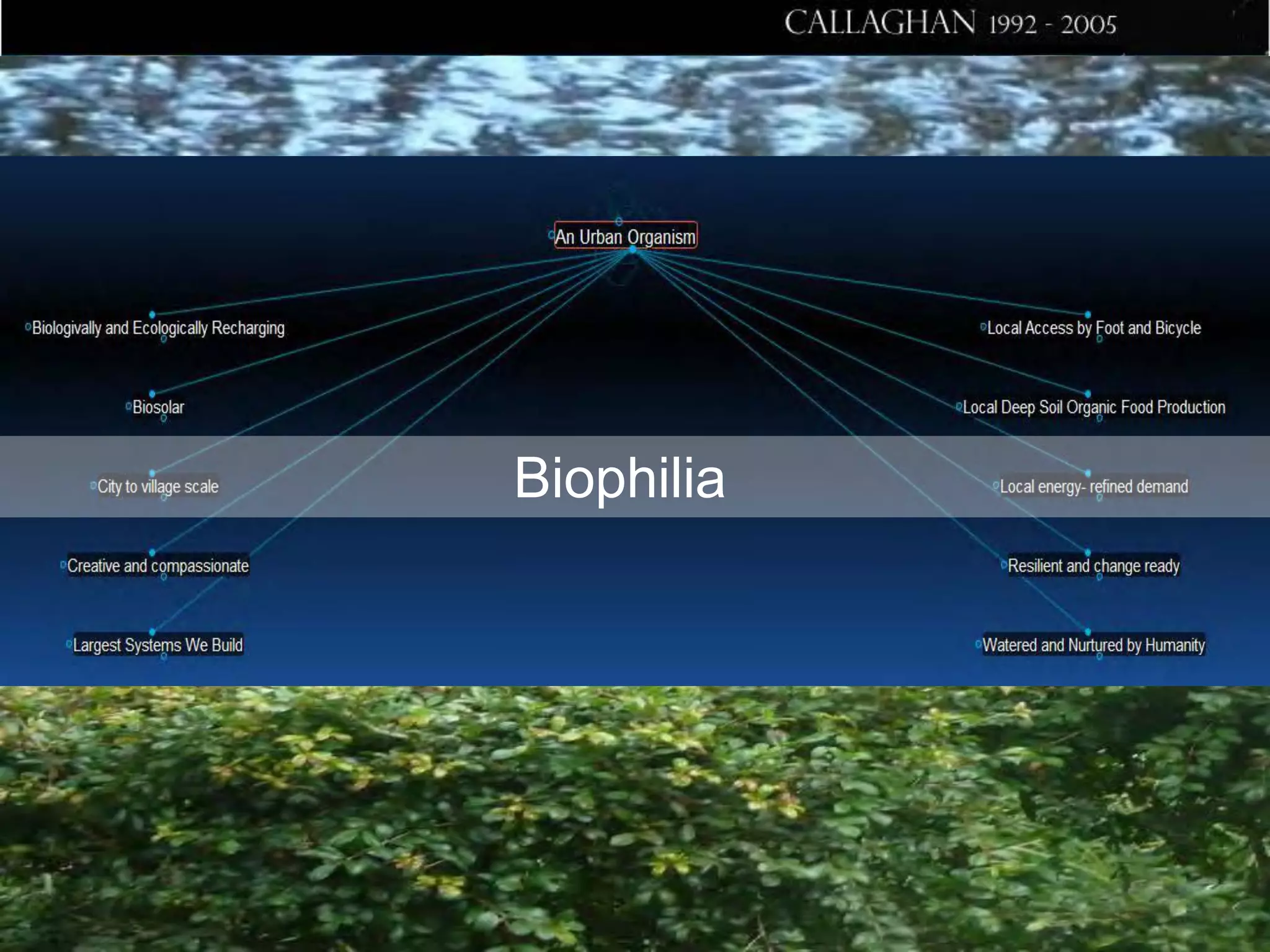 Biophilia

 