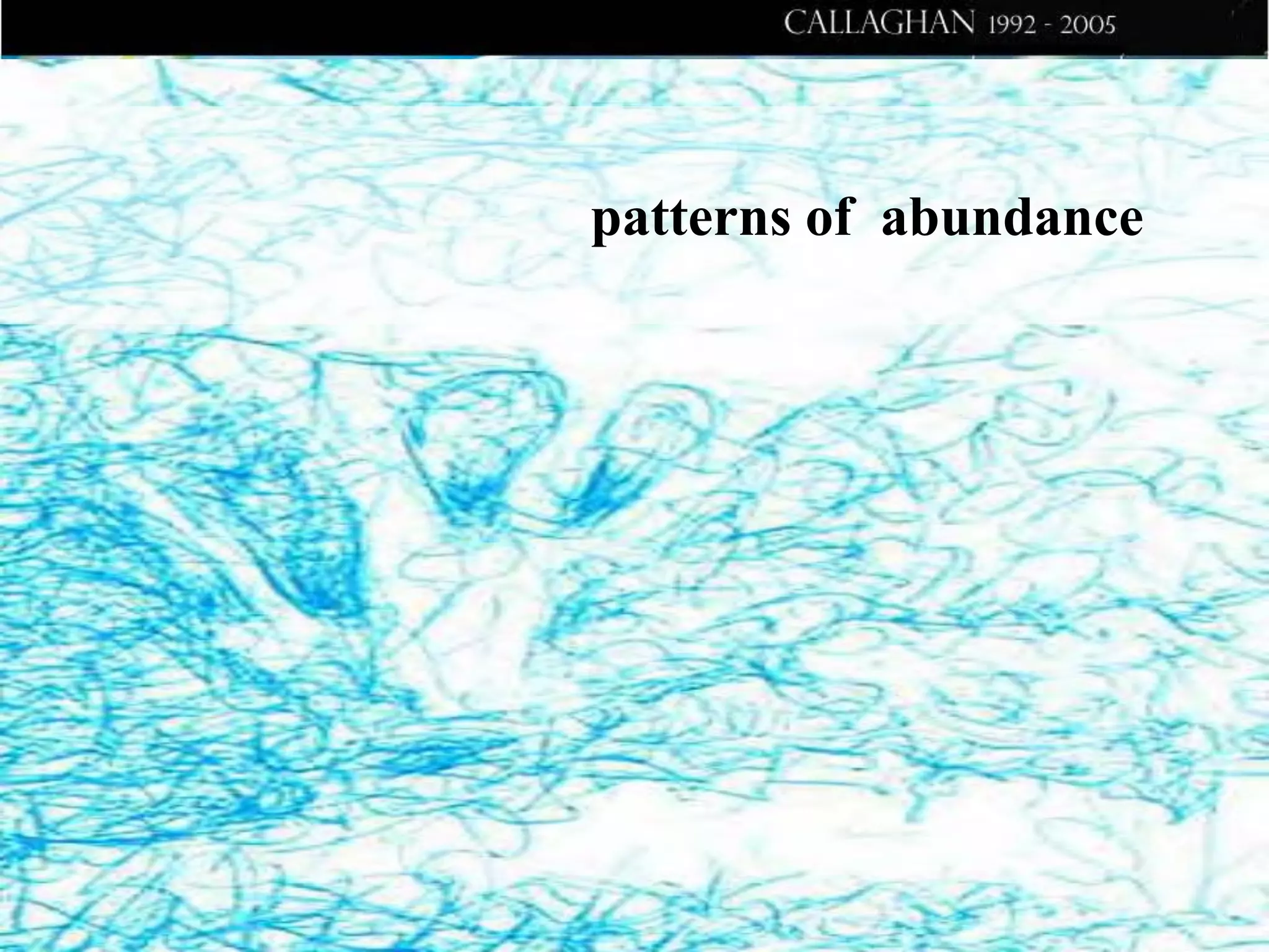 patterns of abundance

 
