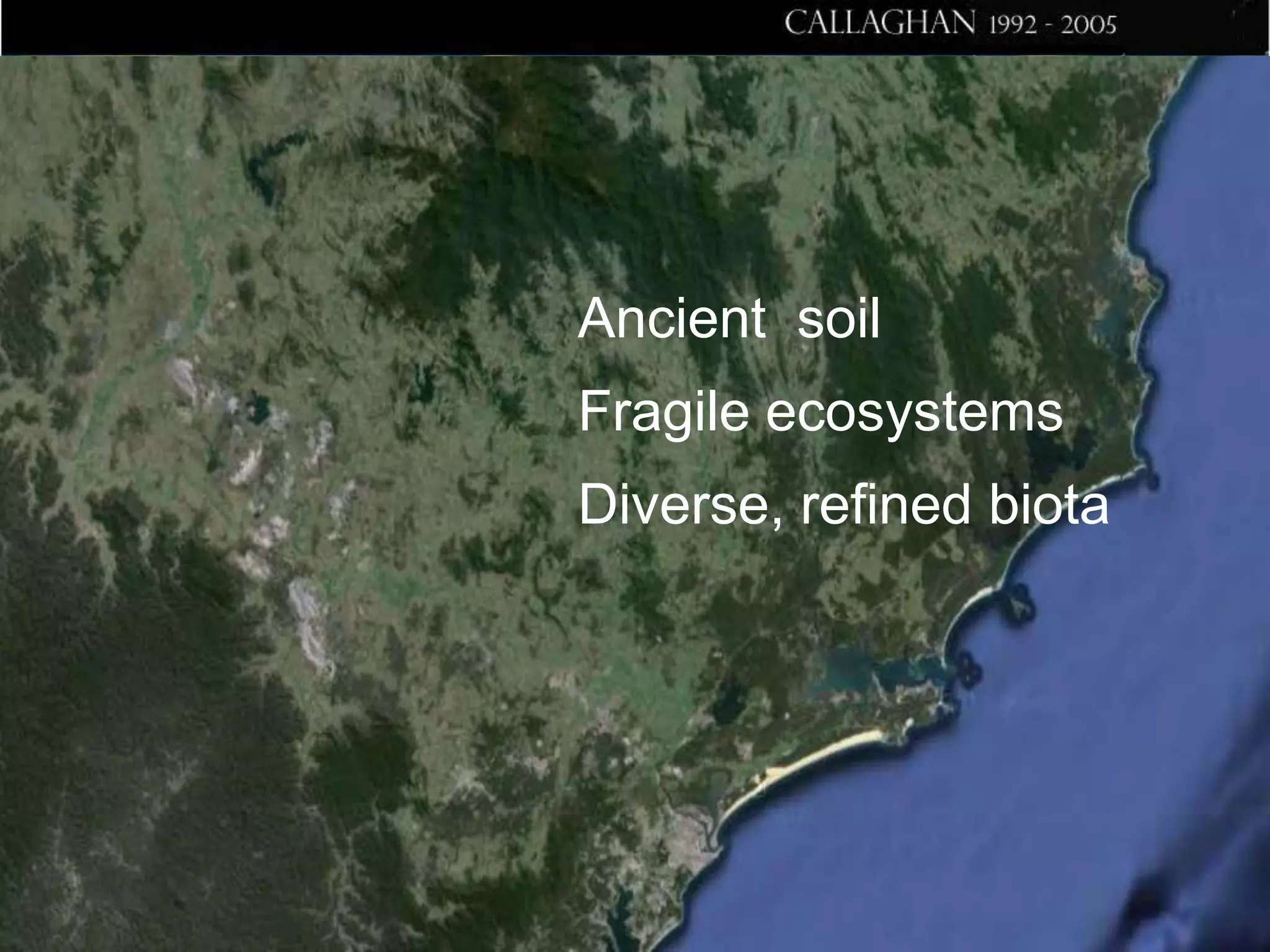 Ancient soil
Fragile ecosystems
Diverse, refined biota

 