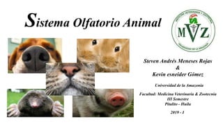 Sistema Olfatorio Animal
Steven Andrés Meneses Rojas
&
Kevin esneider Gómez
Facultad: Medicina Veterinaria & Zootecnia
III Semestre
Pitalito - Huila
2019 - I
Universidad de la Amazonia
 