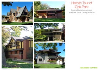 Historic Tour of
Oak Park
Designed by various Architects
Built in the 1900’s, Chicago, Illinois

Photography by Steven Cortese

 