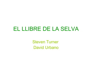 EL LLIBRE DE LA SELVA Steven Turner  David Urbano 