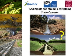 Sediments and stream ecosystems
Steve Ormerod
?
 