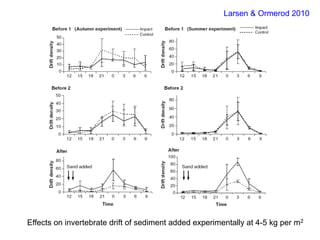 Effects on invertebrate drift of sediment added experimentally at 4-5 kg per m2
Larsen & Ormerod 2010
 