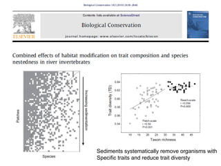 Sediments systematically remove organisms with
Specific traits and reduce trait diversty
 