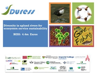 +
Diversity in upland rivers for
ecosystem service sustainability
BESS: 4.4m Euros
 