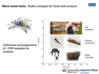 More novel tools: Stable Isotopes for food web analysis
Basal
resources
Primary
consumers
Top
predators
Collection and preparation
of ~1500 samples for
analysis.
 
