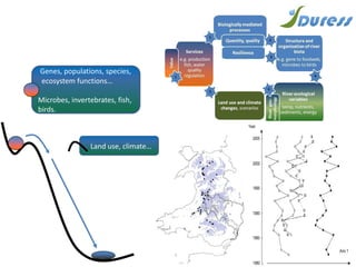 Genes, populations, species,
ecosystem functions…
Microbes, invertebrates, fish,
birds.
Land use, climate…
 