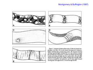 Montgomery & Buffington (1997)
 