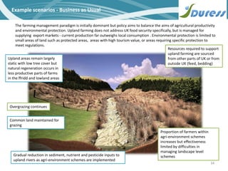 34
Example scenarios - Business as Usual
The farming management paradigm is initially dominant but policy aims to balance the aims of agricultural productivity
and environmental protection. Upland farming does not address UK food security specifically, but is managed for
supplying export markets - current production far outweighs local consumption . Environmental protection is limited to
small areas of land such as protected areas, areas with high tourism value, or areas requiring specific protection to
meet regulations.
Overgrazing continues
Proportion of farmers within
agri-environment schemes
increases but effectiveness
limited by difficulties in
managing landscape level
schemes
Resources required to support
upland farming are sourced
from other parts of UK or from
outside UK (feed, bedding)
Gradual reduction in sediment, nutrient and pesticide inputs to
upland rivers as agri-environment schemes are implemented
Upland areas remain largely
static with low tree cover but
natural regeneration occurs in
less productive parts of farms
in the ffridd and lowland areas
Common land maintained for
grazing
 