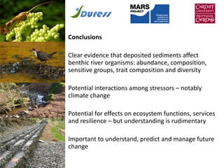 Conclusions
Clear evidence that deposited sediments affect
benthic river organisms: abundance, composition,
sensitive groups, trait composition and diversity
Potential interactions among stressors – notably
climate change
Potential for effects on ecosystem functions, services
and resilience – but understanding is rudimentary
Important to understand, predict and manage future
change
 