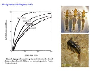 Montgomery & Buffington (1997)
S J Ormerod
 