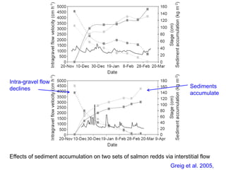 Effects of sediment accumulation on two sets of salmon redds via interstitial flow
Greig et al. 2005,
Sediments
accumulate
Intra-gravel flow
declines
 