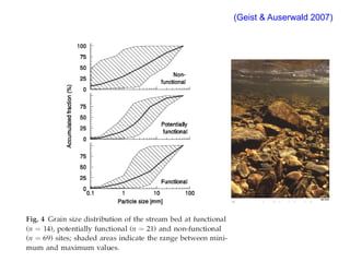 (Geist & Auserwald 2007)
 