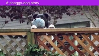 The Designer Is Present ‹#› Portigal
Click to edit Master title styleA shaggy-dog story
 