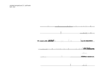 rendered perspectives 01 [wireframe]
back view
 