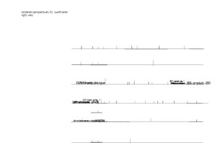 rendered perspectives 01 [wireframe]
right view
 