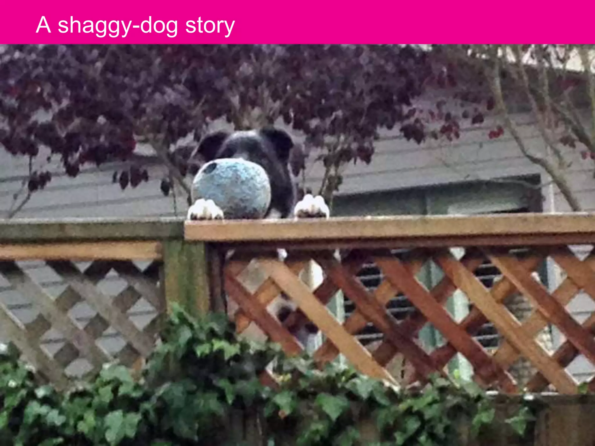 The Designer Is Present ‹#› Portigal
Click to edit Master title styleA shaggy-dog story
 