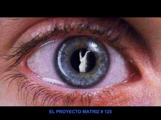 EL PROYECTO MATRIZ # 125 