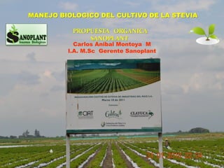 MANEJO BIOLOGICO DEL CULTIVO DE LA STEVIA
PROPUESTA ORGANICA
SANOPLANT
Carlos Anibal Montoya M
I.A. M.Sc Gerente Sanoplant
 