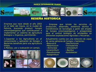 MANEJO INTEGRADO DE PLAGAS
RESEÑA HISTORICA
Empresa que nace desde el año 2002
en el Valle del Cauca, en la ciudad de
Palm...