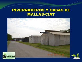 INVERNADEROS Y CASAS DE
MALLAS-CIAT
 