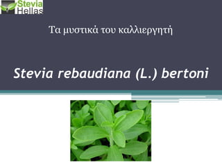 Stevia rebaudiana (L.) bertoni
Τα κπζηηθά ηνπ θαιιηεξγεηή
 
