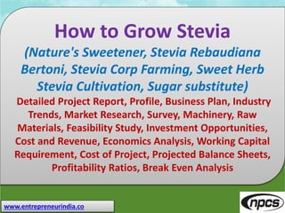 www.entrepreneurindia.co
How to Grow Stevia
(Nature's Sweetener, Stevia Rebaudiana
Bertoni, Stevia Corp Farming, Sweet Herb
Stevia Cultivation, Sugar substitute)
Detailed Project Report, Profile, Business Plan, Industry
Trends, Market Research, Survey, Machinery, Raw
Materials, Feasibility Study, Investment Opportunities,
Cost and Revenue, Economics Analysis, Working Capital
Requirement, Cost of Project, Projected Balance Sheets,
Profitability Ratios, Break Even Analysis
 