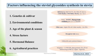Factors influencing the steviol glycosides synthesis in stevia
HIM-Stevia, RSIT 94-751, 94-1306, 95-166-13,
CIM-Madhu, CIM-Mithi, Morita, Acc 1 & 2
Gibberellin and cytokinin balance
Older ones - higher SGs & Colder months – low SGs
Temp – 20-30℃, Photoperiodic
condition, pH- 6.5-7.5, Rainfall
Drought & Salt stress
Irrigation – 1.2 IW/CPE, plant geometry 30 x 20 cm
Deflowering & PBZ @ 12ppm – high SGs
1. Genetics & cultivar
2. Environmental conditions
3. Age of the plant & season
4. Stress factors
5. Hormonal Balance
6. Agricultural practices
Sharma et al., 2015
8 November 2023 Department of PSM&AC 14
 
