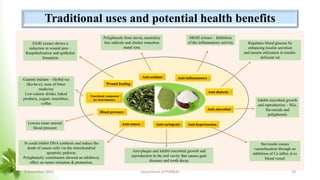 F
Traditional uses and potential health benefits
Anti-inflammatory
Wound healing
Anti-diabetic
Anti-oxidant
Anti-hypertension
Anti-cariogenic
Blood pressure
Functional component
for food Industry
Anti-cancer
Anti-microbial
Polyphenols from stevia, neutralize
free radicals and chelate transition
metal ions
Regulates blood glucose by
enhancing insulin secretion
and insulin utilization in insulin-
deficient rat
Lowers mean arterial
blood pressure
Stevioside causes
vasorelaxation through an
inhibition of Ca influx in to
blood vessel
Anti-plaque and inhibit microbial growth and
reproduction in the oral cavity that causes gum
diseases and tooth decay
St could inhibit DNA synthesis and induce the
death of cancer cells via the mitochondrial
apoptotic pathway
Polyphenolic constituents showed an inhibitory
effect on tumor initiation & promotion.
Inhibit microbial growth
and reproduction – SGs,
flavonoids and
polyphenols
Guarani Indians – Herbal tea
(Ka-he-e), taste of bitter
medicine
Low-calorie drinks, baked
products, yogurt, smoothies,
coffee
EtOH extract shown a
reduction in wound area –
Reepithelization and epithelial
formation
MtOH extract - Inhibition
of the inflammatory activity
8 November 2023 Department of PSM&AC 19
 
