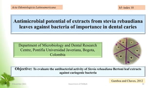 Antimicrobial potential of extracts from stevia rebaudiana
leaves against bacteria of importance in dental caries
Objective: To evaluate the antibacterial activity of Stevia rebaudiana Bertoni leaf extracts
against cariogenic bacteria
Department of Microbiology and Dental Research
Centre, Pontifia Universidad Javeriana, Bogota,
Colombia
Acta Odontologicia Latinoamericana
Gamboa and Chaves, 2012
h5–index 10
8 November 2023 Department of PSM&AC 30
 
