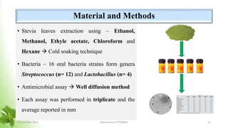 Material and Methods
• Stevia leaves extraction using – Ethanol,
Methanol, Ethyle acetate, Chloroform and
Hexane  Cold soaking technique
• Bacteria – 16 oral bacteria strains form genera
Streptococcus (n= 12) and Lactobacillus (n= 4)
• Antimicrobial assay  Well diffusion method
• Each assay was performed in triplicate and the
average reported in mm
8 November 2023 Department of PSM&AC 31
 