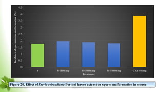 0
0.5
1
1.5
2
2.5
3
3.5
4
4.5
0 St-500 mg St-5000 mg St-10000 mg CPA-40 mg
Incidence
of
spermatozoa
malformation
(%)
Treatment
Figure 20. Effect of Stevia rebaudiana Bertoni leaves extract on sperm malformation in mouse
8 November 2023 Department of PSM&AC 47
 