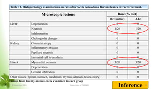 Tissues from twenty animals were examined in each group
Table 12. Histopathology examinations on rats after Stevia rebaudiana Bertoni leaves extract treatment.
Inference
Microscopic lesions Dose (% diet)
0 (Control) 3.12
Liver Degenaration 0 0
Necrosis 1/20 1/20
Infalmmation 0 0
Cholangiolar changes 0 0
Kidney Glomular atropy 0 0
Inflammatory exudate 0 0
Papillary necrosis 0 0
Imterstial cell hyperplasia 0 0
Heart Myocardial necrosis 3/20 3/20
Degeneration 0 0
Cellular infiltration 0 0
Other tissues (Spleen, stomach, duodenum, thymus, adrenals, testes, ovary) 0 0
8 November 2023 Department of PSM&AC 50
 