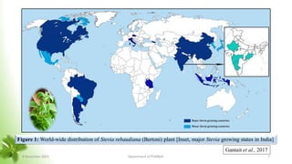 Figure 1: World-wide distribution of Stevia rebaudiana (Bertoni) plant [Inset, major Stevia growing states in India]
Gantait et al., 2017
8 November 2023 Department of PSM&AC 7
 