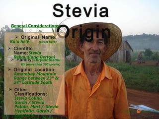 Stevia  Origin General Considerations: ,[object Object],[object Object],[object Object],[object Object],[object Object]