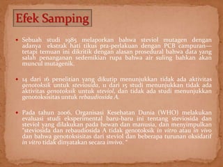 Efek Samping 
 Sebuah studi 1985 melaporkan bahwa steviol mutagen dengan 
adanya ekstrak hati tikus pra-perlakuan dengan PCB campuran— 
tetapi temuan ini dikritik dengan alasan prosedural bahwa data yang 
salah penanganan sedemikian rupa bahwa air suling bahkan akan 
muncul mutagenik. 
 14 dari 16 penelitian yang dikutip menunjukkan tidak ada aktivitas 
genotoksik untuk steviosida, 11 dari 15 studi menunjukkan tidak ada 
aktivitas genotoksik untuk steviol, dan tidak ada studi menunjukkan 
genotoksisitas untuk rebaudiosida A. 
 Pada tahun 2006, Organisasi Kesehatan Dunia (WHO) melakukan 
evaluasi studi eksperimental baru-baru ini tentang steviosida dan 
steviol yang dilakukan pada hewan dan manusia, dan menyimpulkan 
“steviosida dan rebaudiosida A tidak genotoksik in vitro atau in vivo 
dan bahwa genotoksisitas dari steviol dan beberapa turunan oksidatif 
in vitro tidak dinyatakan secara invivo. “ 
 