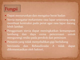  Dapat menurunkan dan mengatur berat badan 
 Stevia mengatur mekanisme rasa lapar seseorang yang 
membuat kontraksi pada perut agar rasa lapar datang 
lebih lambat. 
 Penggunaan stevia dapat meningkatkan kemampuan 
lambung dan daya cerna pencernaan untuk 
mengurangi resiko pada perokok dan peminum 
 Pemanis yang tidak menyebabkan gigi berlubang 
Steviosida dan Rebaudiosida A tidak dapat 
difermentasikan oleh bakteri. 
