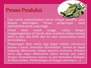  Cara untuk memanfaatkan stevia sebagai pemanis yaitu 
dengan dikeringkan. Proses pengeringan tidak 
memerlukan panas yang tinggi. 
 Untuk skala rumah tangga, cukup dengan 
mengeringkannya di bawah sinar matahari selama kurang 
lebih 12 jam, jika lebih dari itu akan menurunkan kadar 
steviosidanya. 
 Pengeringan daun stevia juga dapat melalui microwave 
selama 2 menit, kemudian diserbukkan. Serbuk ini dapat 
langsung dikonsumsi sebagai pemanis makanan. Pemanis 
stevia juga dapat dikonsumsi dalam bentuk cair, yakni 
dengan merendamnya selama 24 jam kemudian disimpan 
di dalam kulkas. Perbandingan air dengan stevianya 1 : 4. 
 