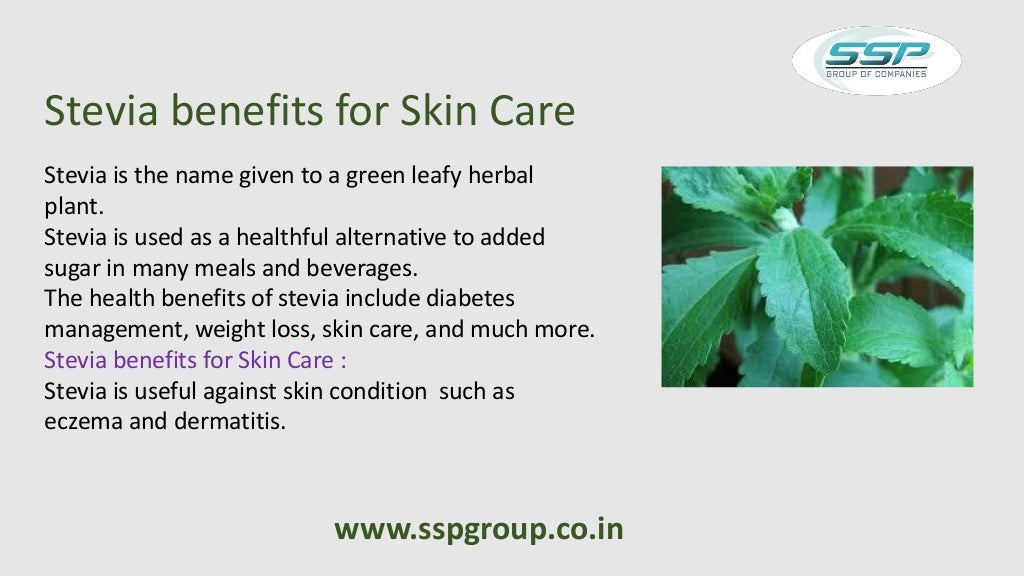 Stevia plants, stevia cultivation in india