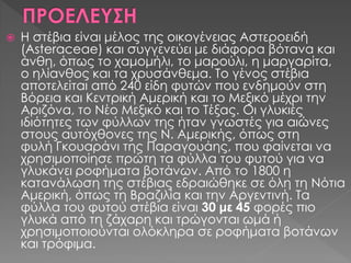  Η στέβια είναι μέλος της οικογένειας Αστεροειδή
(Asteraceae) και συγγενεύει με διάφορα βότανα και
άνθη, όπως το χαμομήλι, το μαρούλι, η μαργαρίτα,
ο ηλίανθος και τα χρυσάνθεμα. Το γένος στέβια
αποτελείται από 240 είδη φυτών που ενδημούν στη
Βόρεια και Κεντρική Αμερική και το Μεξικό μέχρι την
Αριζόνα, το Νέο Μεξικό και το Τέξας. Οι γλυκιές
ιδιότητες των φύλλων της ήταν γνωστές για αιώνες
στους αυτόχθονες της Ν. Αμερικής, όπως στη
φυλή Γκουαράνι της Παραγουάης, που φαίνεται να
χρησιμοποίησε πρώτη τα φύλλα του φυτού για να
γλυκάνει ροφήματα βοτάνων. Από το 1800 η
κατανάλωση της στέβιας εδραιώθηκε σε όλη τη Νότια
Αμερική, όπως τη Βραζιλία και την Αργεντινή. Τα
φύλλα του φυτού στέβια είναι 30 με 45 φορές πιο
γλυκά από τη ζάχαρη και τρώγονται ωμά ή
χρησιμοποιούνται ολόκληρα σε ροφήματα βοτάνων
και τρόφιμα.
 