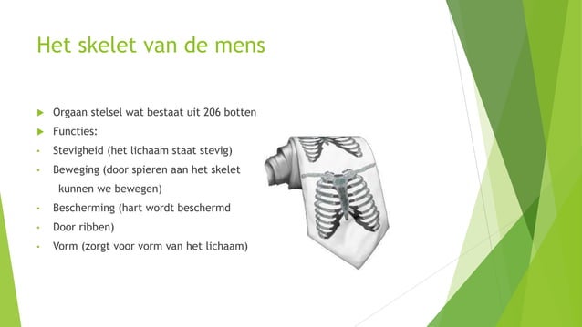 Stevigheid en beweging | PPT