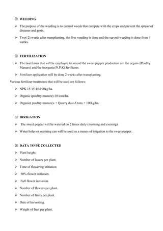  WEEDING
 The purpose of the weeding is to control weeds that compete with the crops and prevent the spread of
diseases and pests.
 Two( 2) weeks after transplanting, the first weeding is done and the second weeding is done from 6
weeks.

 FERTILIZATION
 The two forms that will be employed to amend the sweet pepper production are the organic(Poultry
Manure) and the inorganic(N.P.K) fertilizers.
 Fertilizer application will be done 2 weeks after transplanting.
Various fertilizer treatments that will be used are follows:
 NPK 15:15:15-100kg/ha.
 Organic (poultry manure)-10 tons/ha.
 Organic( poultry manure)- + Quarry dust-5 tons + 100kg/ha.

 IRRIGATION
 The sweet pepper will be watered on 2 times daily (morning and evening).
 Water holes or watering can will be used as a means of irrigation to the sweet pepper.

 DATA TO BE COLLECTED
 Plant height.
 Number of leaves per plant.
 Time of flowering initiation
 50% flower initiation.
 Full flower initiation.
 Number of flowers per plant.
 Number of fruits per plant.
 Date of harvesting.
 Weight of fruit per plant.

 