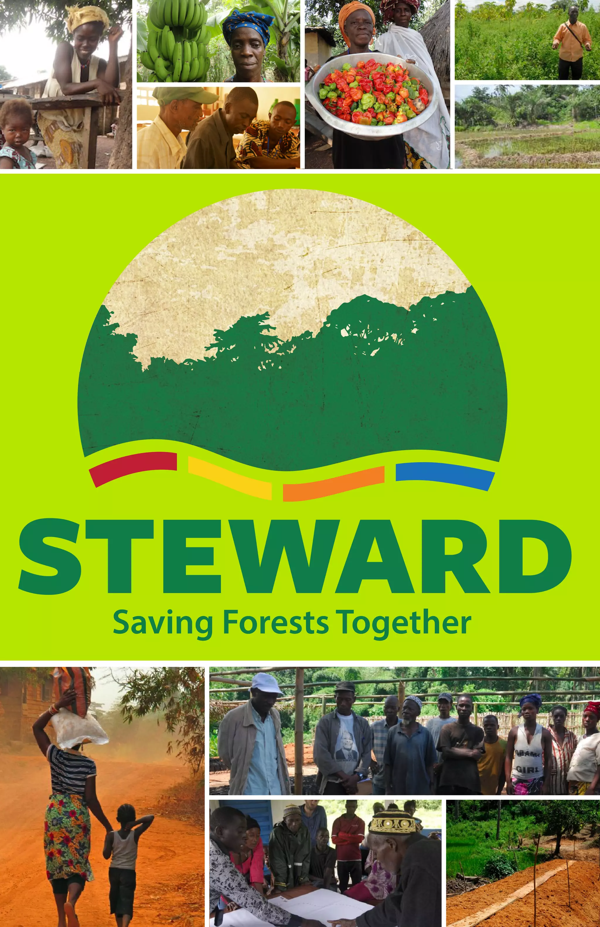 Steward Program | PDF