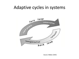 Adaptive cycles in systems
Source: Walker (2004)
 