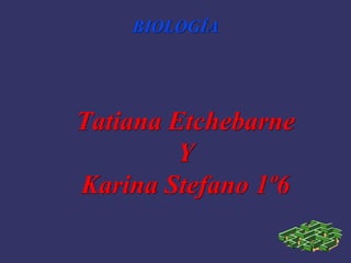 BIOLOGÍA




Tatiana Etchebarne
         Y
Karina Stefano 1º6
 