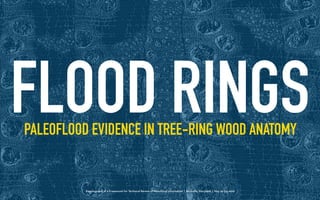 Development of a Framework for Technical Review of Paleoﬂood Information | Rockville, Maryland | May 29-30, 2019
PALEOFLOOD EVIDENCE IN TREE-RING WOOD ANATOMY
FLOOD RINGS
 