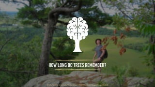 HOW LONG DO TREES REMEMBER?
Climate Variability Across Scales Working Group | PAGES (Past Global Changes) | August 13, 2020
 
