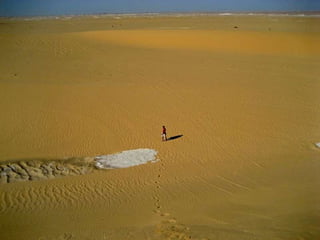 • People
• Vendors
• Fraud
Fault Tolerance
 